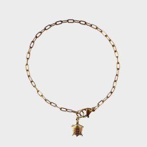 Frederikke - Skildpadde